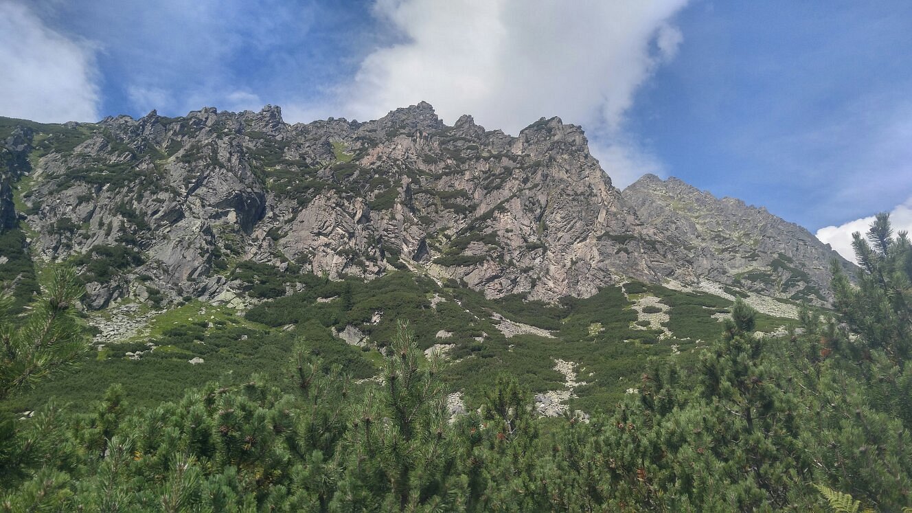 Hotel Panorama Resort gallery 4