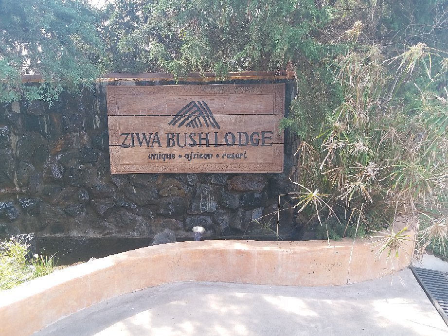 Ziwa Bush Lodge gallery 2