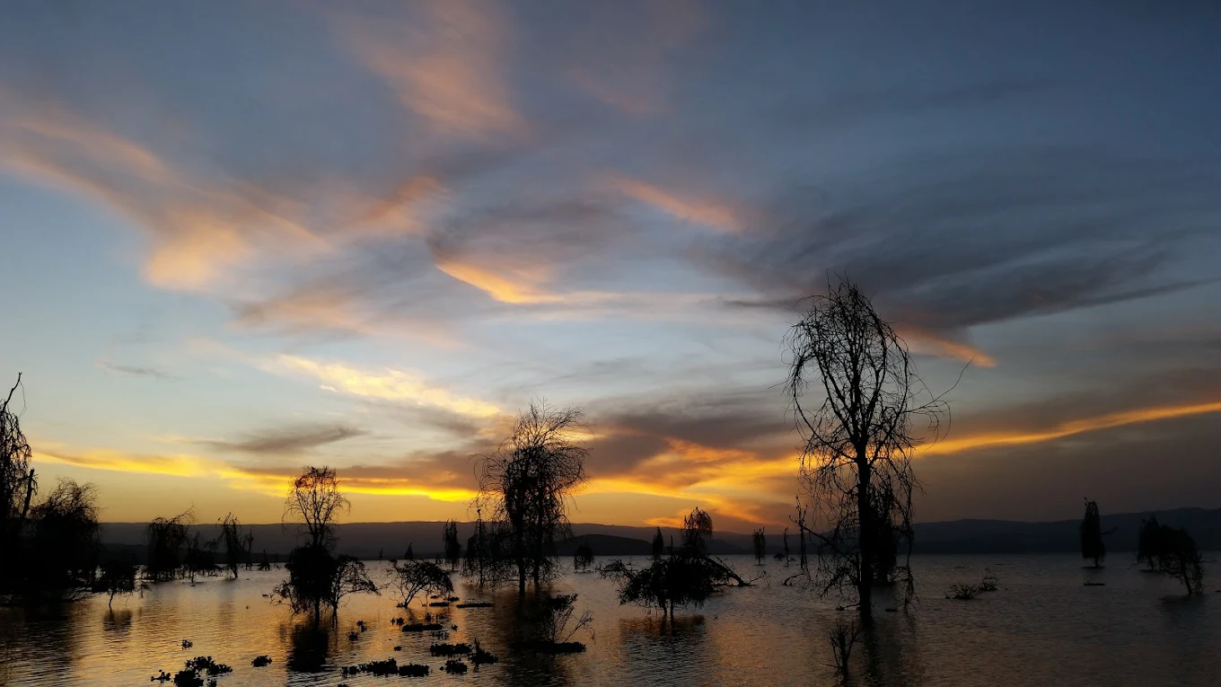 Lake Naivasha Simba Lodge - Naivasha hotel view 4