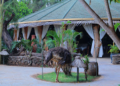 Kibo Safari Camp - Amboseli hotel view 5