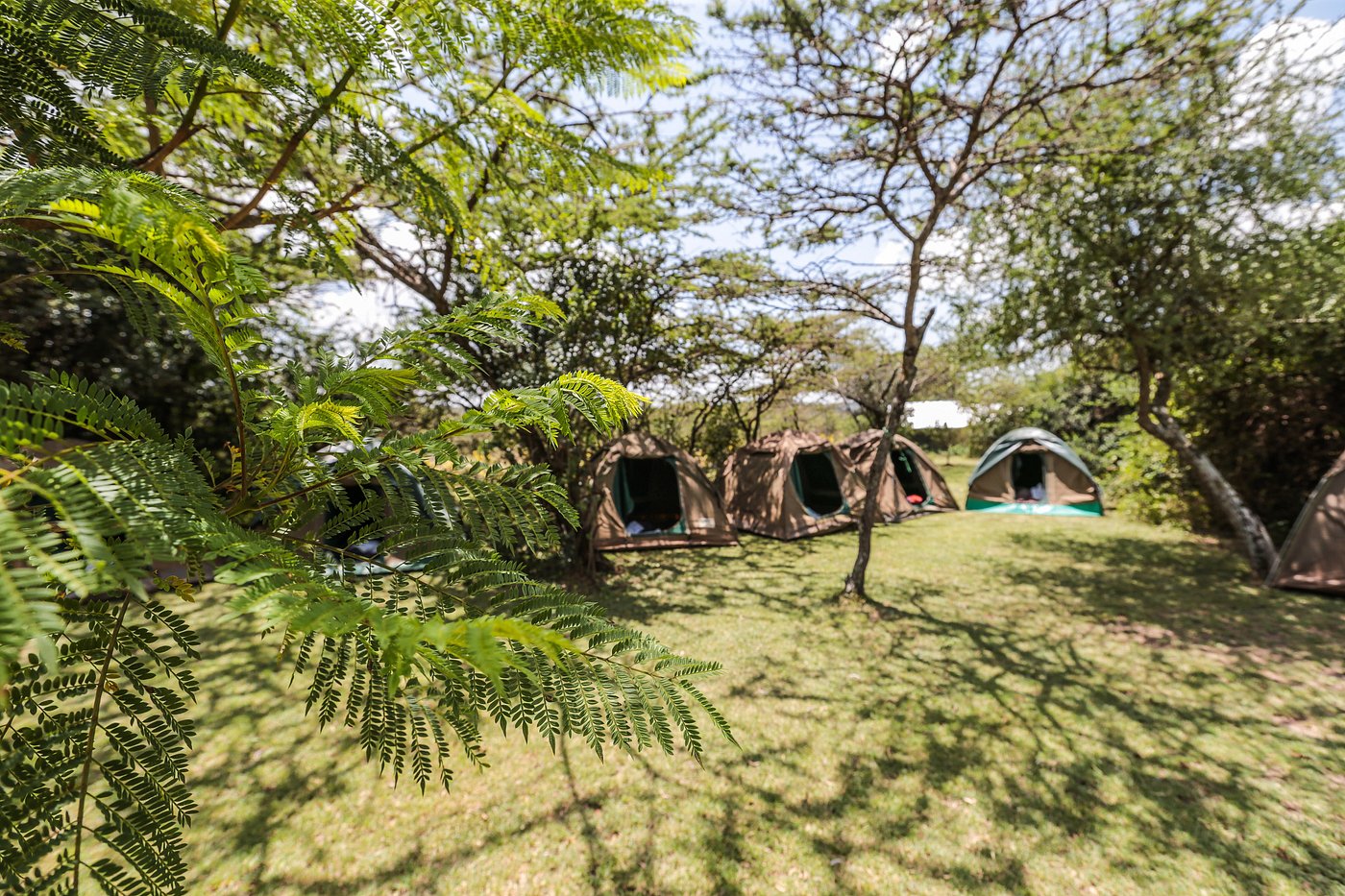 Punda Milias Nakuru Camp gallery 3