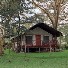 Lake Naivasha Crescent Camp gallery 2