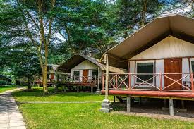 Lake Naivasha Crescent Camp gallery 3