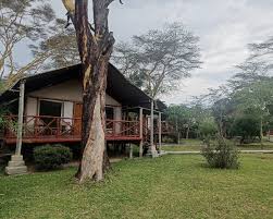 Lake Naivasha Crescent Camp gallery 4