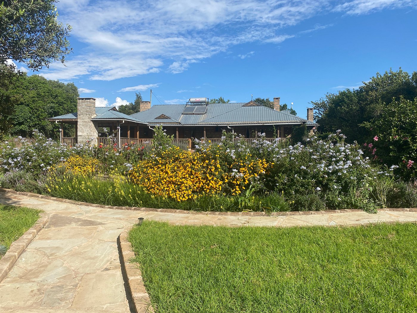 Olesamara Collection gallery 2