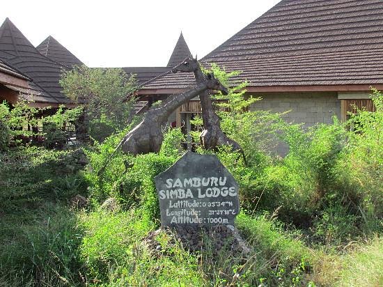 Samburu Simba Lodge - Samburu hotel view 3