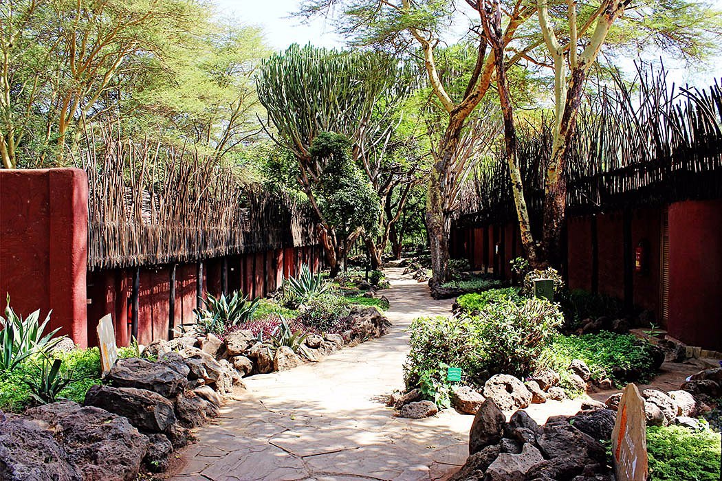 Amboseli Serena Safari Lodge - Amboseli hotel view 3