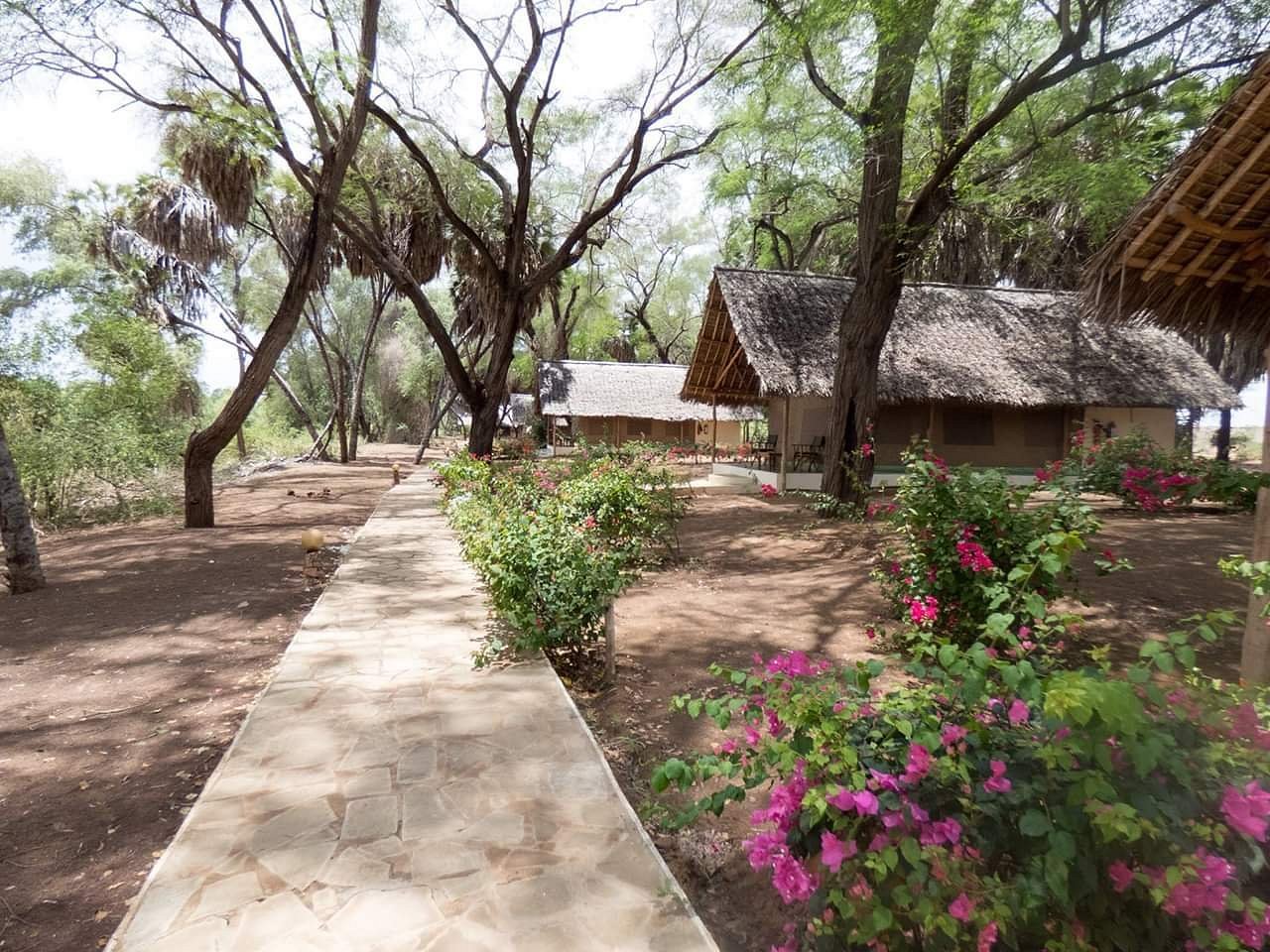 Doa Doa Safari Camp - Tsavo East hotel view 4