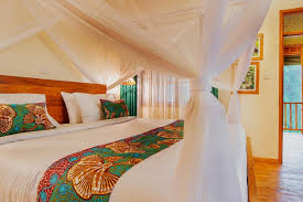 Standard Room - Image 1