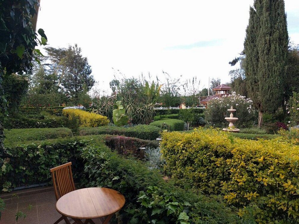 Falcon Heights Hotel gallery 3