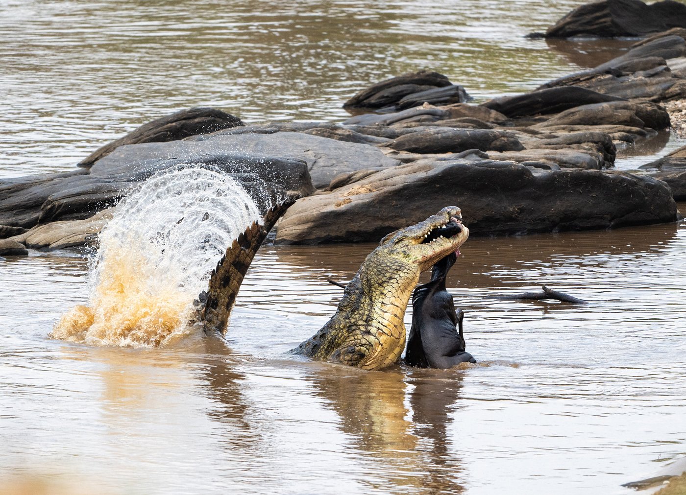 Mara Siria Tented Camp gallery 2