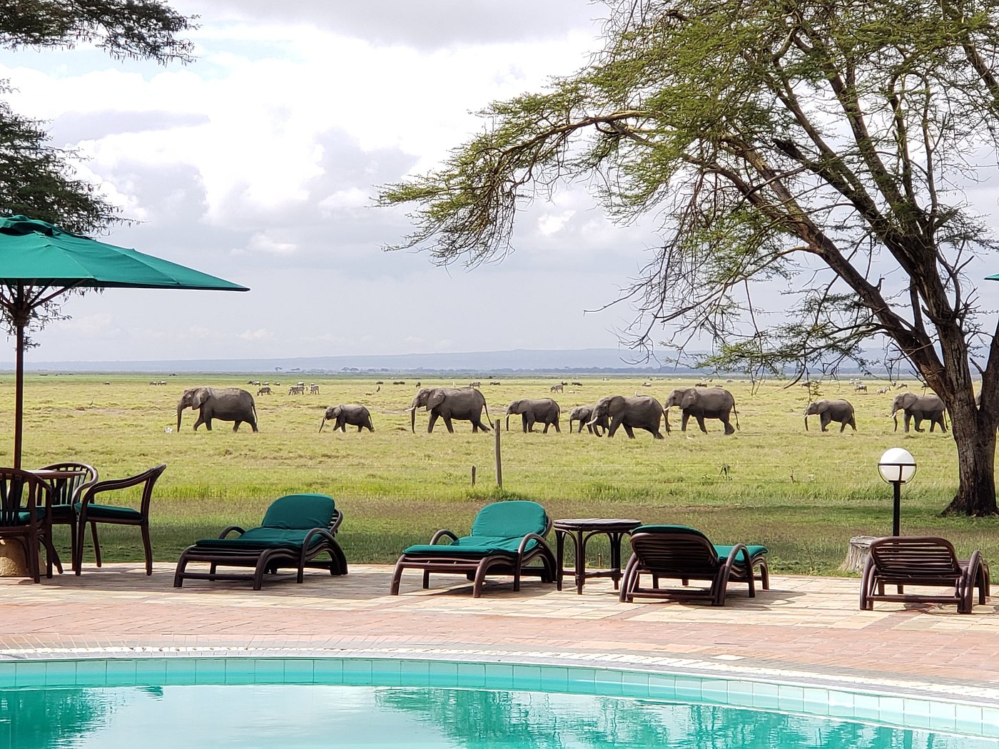 Ol Tukai Lodge Amboseli - Amboseli hotel view 5