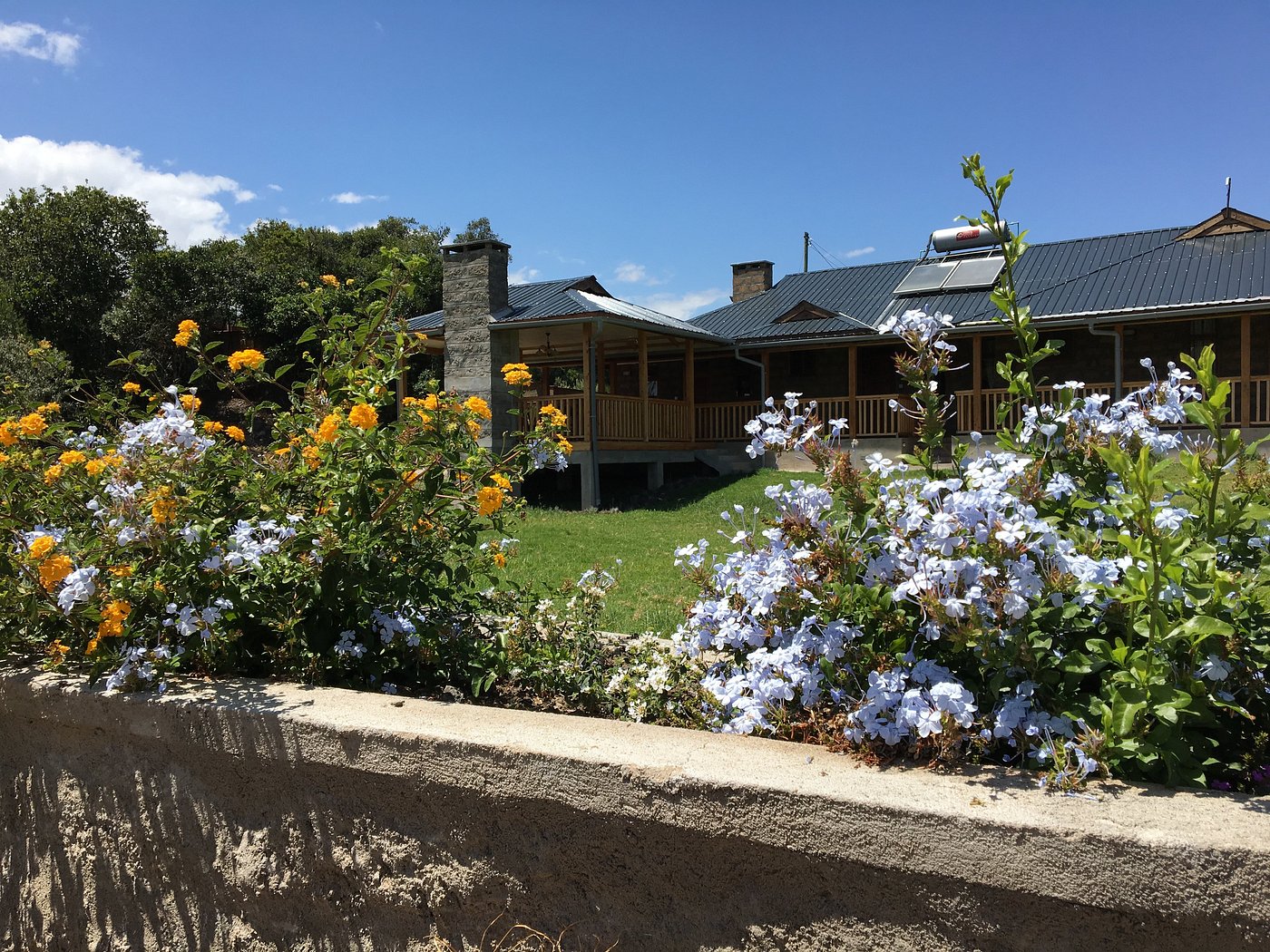 Olesamara Collection