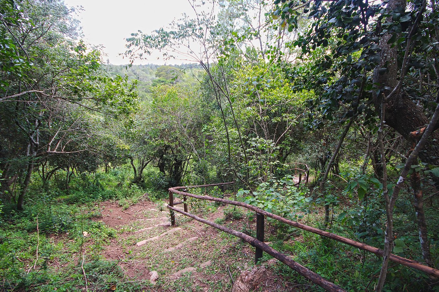 Olesamara Collection gallery 5