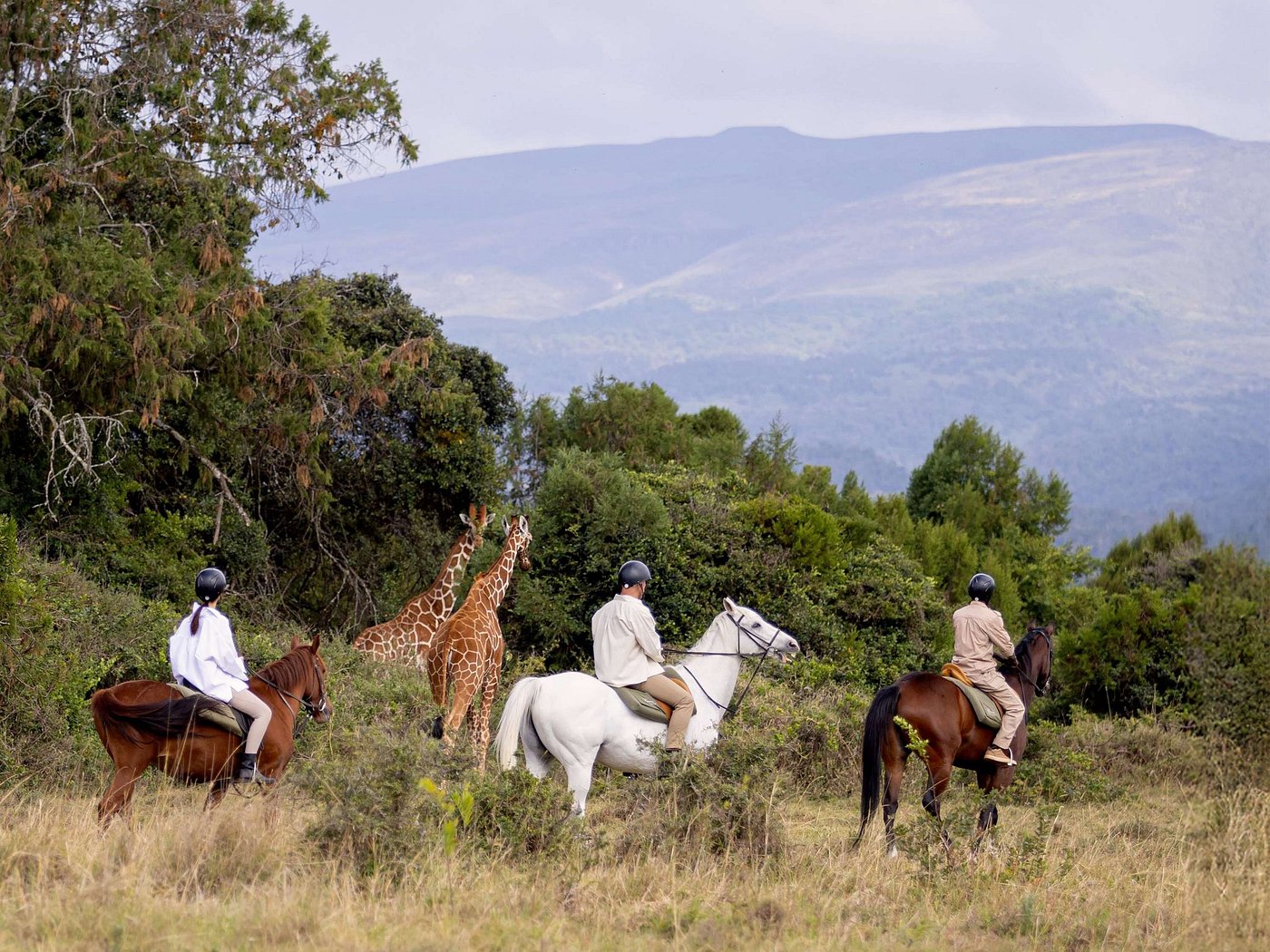 Fairmont Mount Kenya Safari Club gallery 5