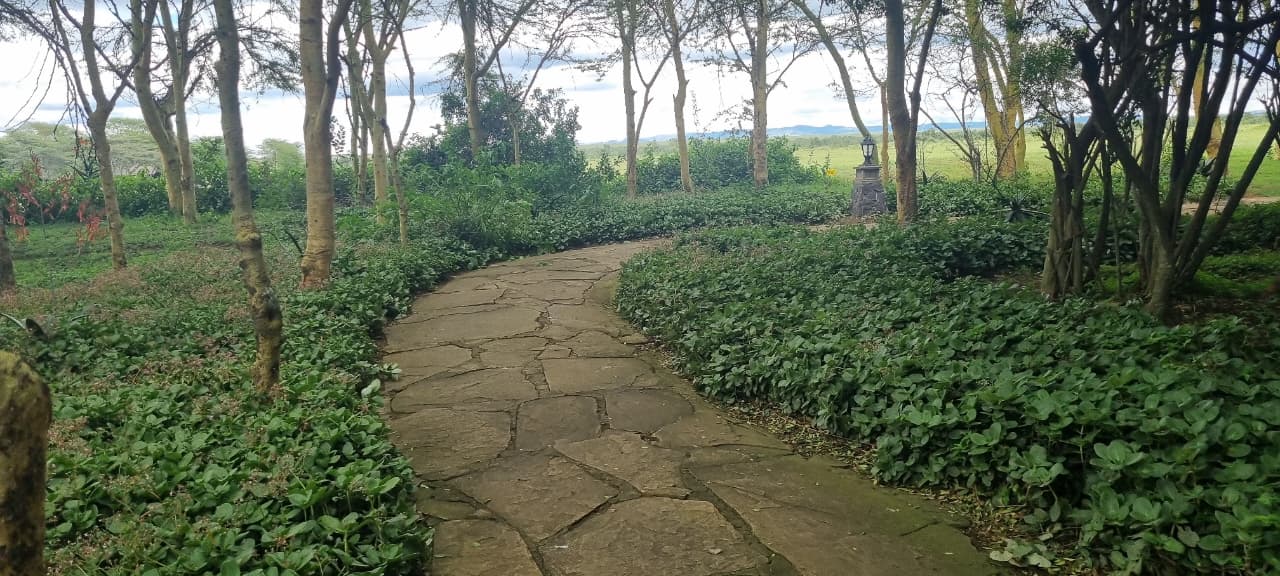 Sweetwaters Tented Camp - Nanyuki hotel view 4