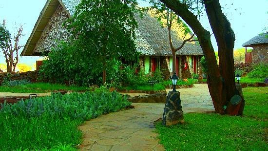Kilaguni Serena Safari Lodge gallery 2