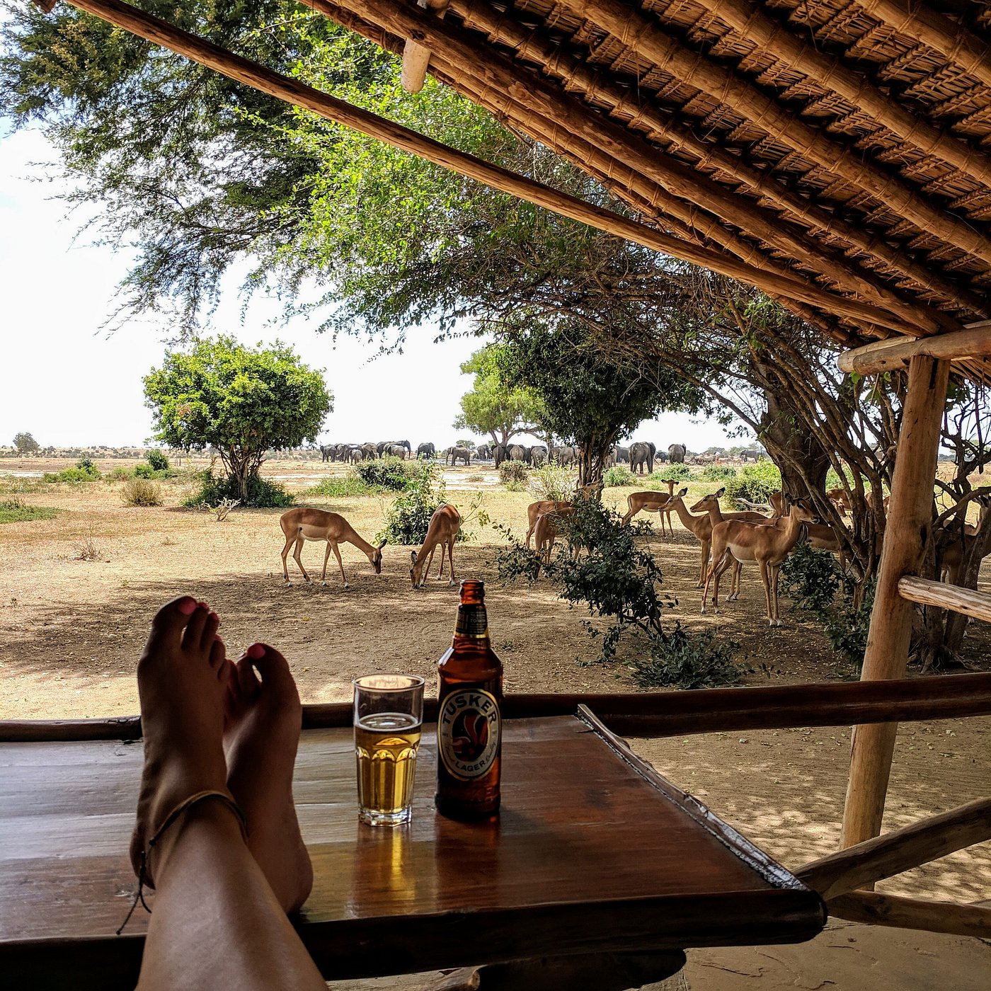 Satao Tented Camp - Tsavo East hotel view 5