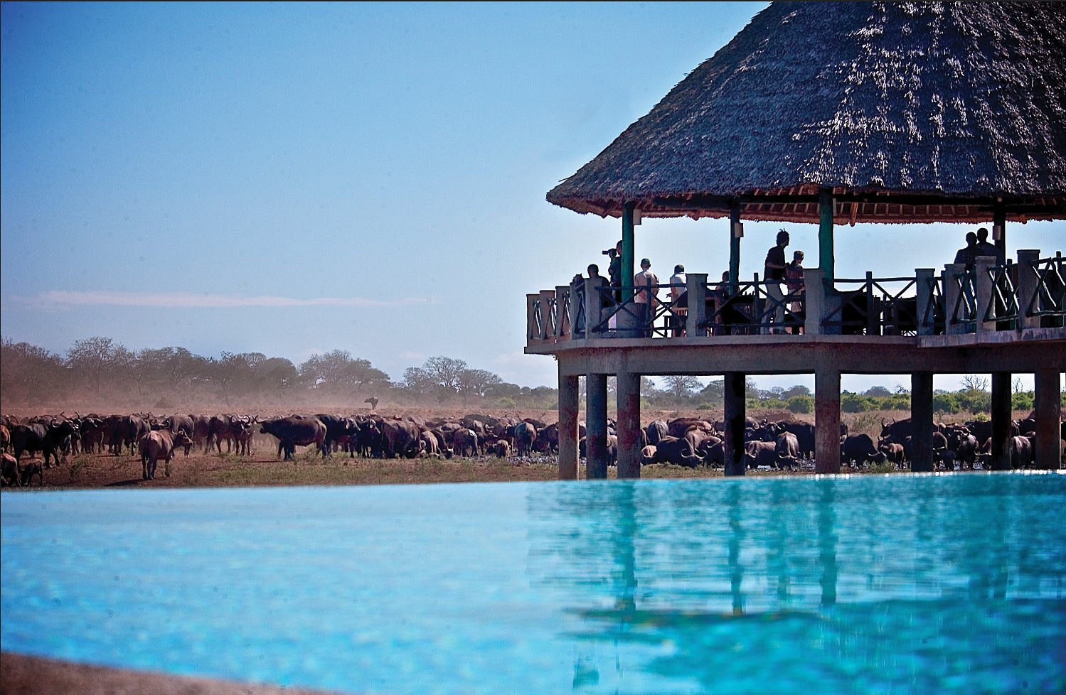 Voi Wildlife Lodge - Tsavo East hotel view 3