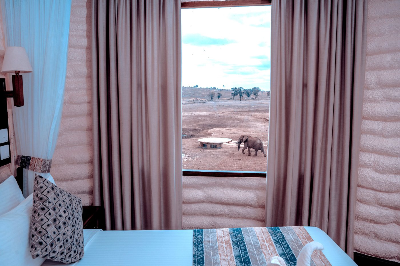 Standard Room - Image 1